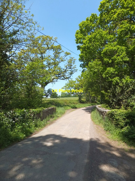 Photo 6"x4" Bridge south of Jacobstowe Jacobstowe c2013
