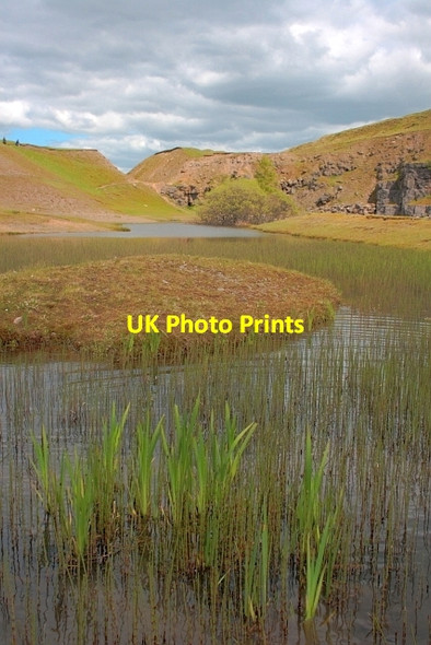 Photo 6"x4" Bollihope Limestone Quarry Bollihope c2013 P2
