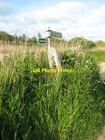 Photo 6"x4" Fingerposts beside the Angles Way, Carlton Marshes Oulton Broad c2013