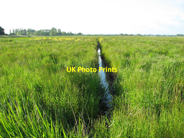 Photo 6"x4" Drainage ditch in Peto's Marsh Oulton Broad c2013