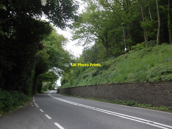 Photo 6"x4" The A39 near West Quantoxhead Amitabha Buddhist Centre c2013