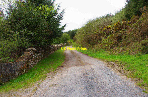 Photo 6"x4" Road becomes a track, near Ballybrogan, Co. Clare Tuamgraney c2013