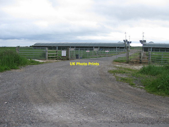 Photo 6"x4" Poultry houses, Carr Lane Aike c2013