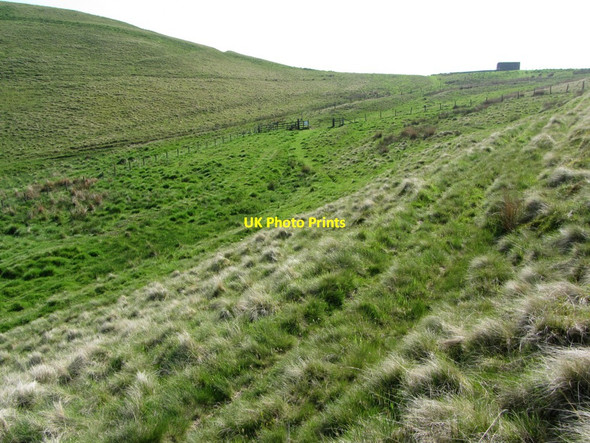 Photo 6"x4" Dere Street below Streethouse Upper Hindhope c2013