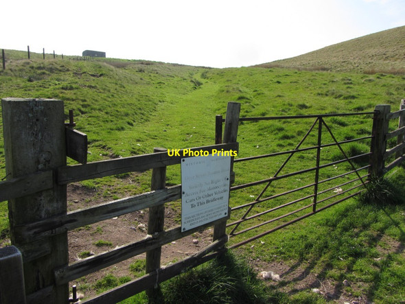 Photo 6"x4" Gate on Dere Street below Streethouse Upper Hindhope c2013