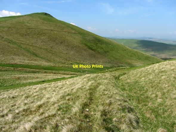 Photo 6"x4" Linear earthwork, Langside Law Upper Hindhope c2013