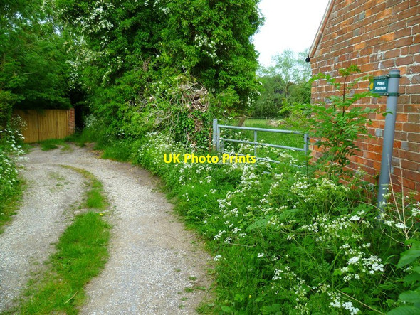 Photo 6"x4" Footpath at Chieveley Chieveley c2013