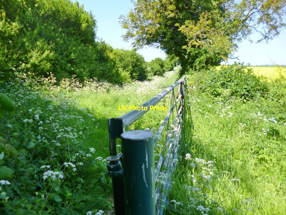 Photo 6"x4" Rockbourne, gate Rockbourne c2013