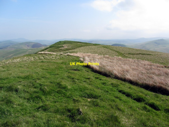 Photo 6"x4" Woden Law hillfort from south-west Upper Hindhope c2013