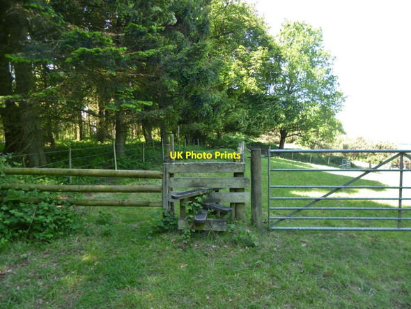 Photo 6"x4" Damerham, gate and stile Rockbourne c2013