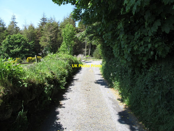 Photo 6"x4" Approaching a ninety-degree bend on the Carewamean Road Faughart Upper c2013