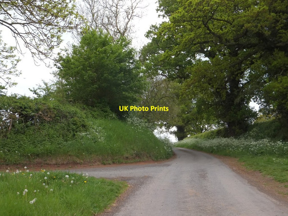 Photo 6"x4" The road to Astwood Bridge Astwood\/SO9365 c2013