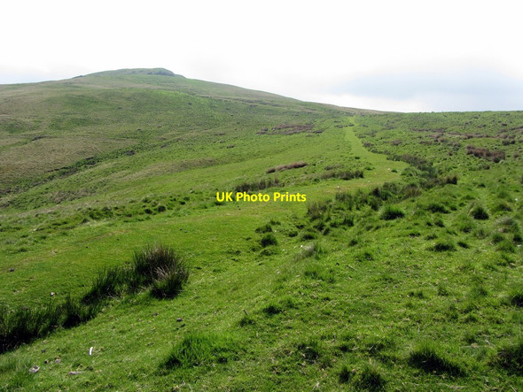 Photo 6"x4" Dere Street north of Hunthall Hill Upper Hindhope c2013