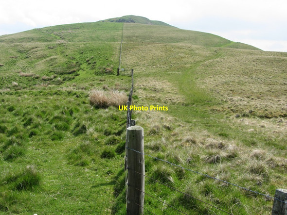 Photo 6"x4" Fence west of Blackhall Hill Upper Hindhope c2013