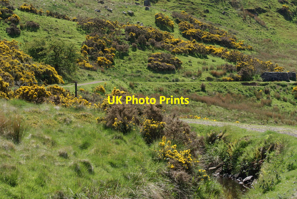 Photo 6"x4" The Greenock Cut Spango\/NS2374 c2013
