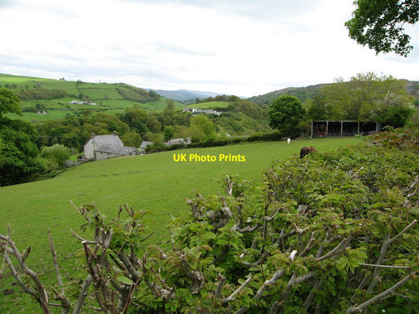 Photo 6"x4" Field north of Ty-isaf Farm Derwen\/SJ0650 c2013