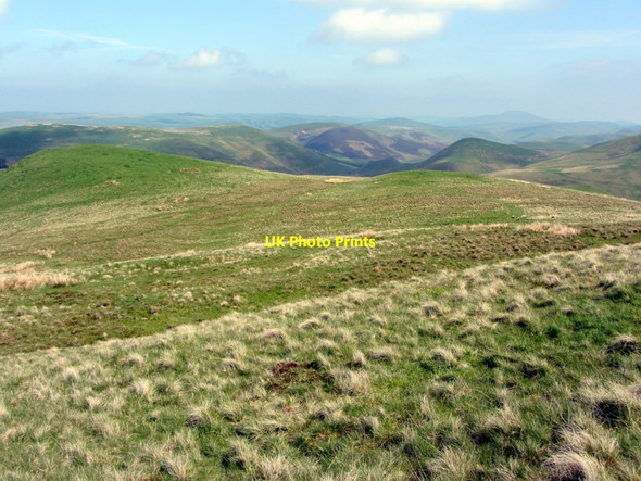 Photo 6"x4" Watch Knowe north of Blackhall Hill Upper Hindhope c2013