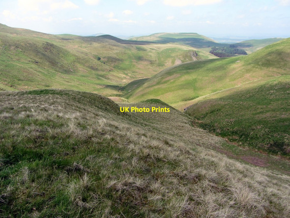 Photo 6"x4" Scraesburgh Hope Upper Hindhope c2013