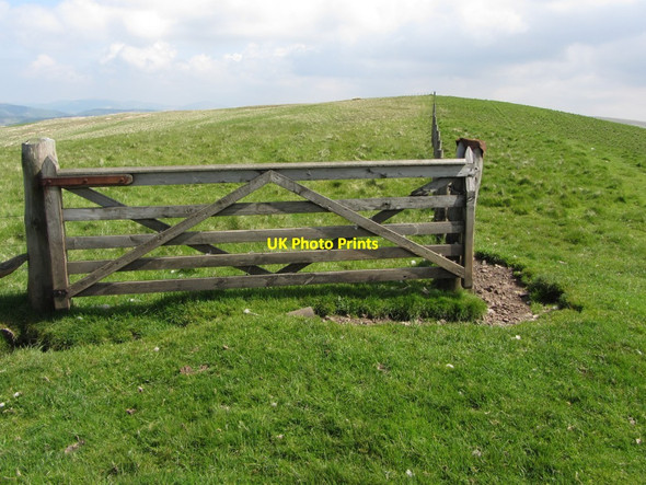 Photo 6"x4" Gate on Raeshaw Fell Upper Hindhope c2013