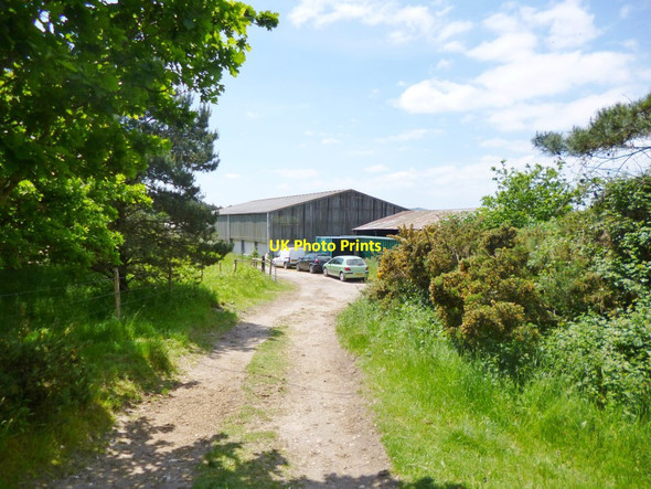 Photo 6"x4" Middlebere, barns Arne c2013