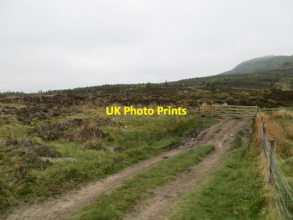 Photo 6"x4" Road, Loch Ordie Guay c2013