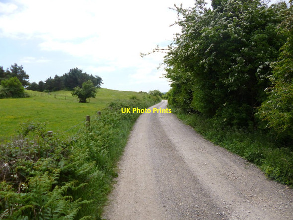 Photo 6"x4" Hartland Moor, farm road Bushey\/SY9883 c2013