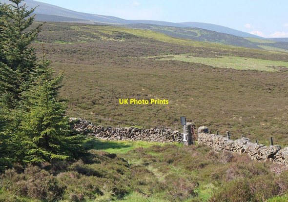 Photo 6"x4" Gateposts at Dead Wife's Grave Bellspool c2013