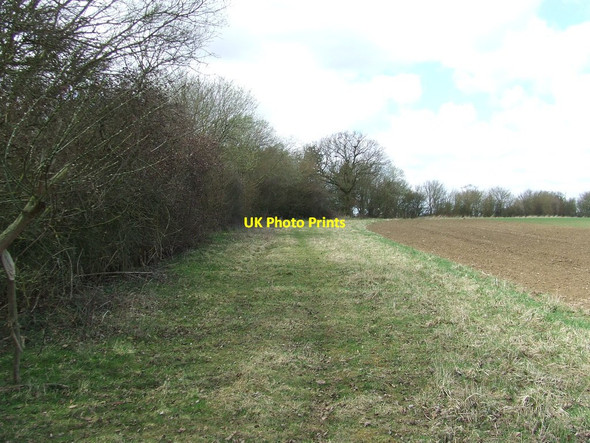 Photo 6"x4" Footpath And Field Boundary Hempstead\/TL6338 c2013
