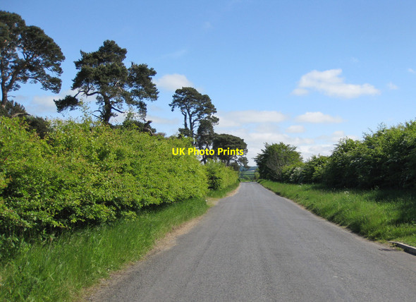 Photo 6"x4" Road to Wintringham Rillington c2013