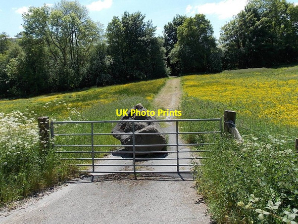 Photo 6"x4" Track to the River Wye, Llanelwedd Builth Wells\/Llanfair-Ym-Muallt c2013
