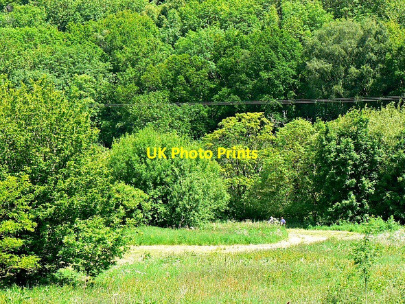 Photo 6"x4" Near the River Wye, Symonds Yat Great Doward c2013