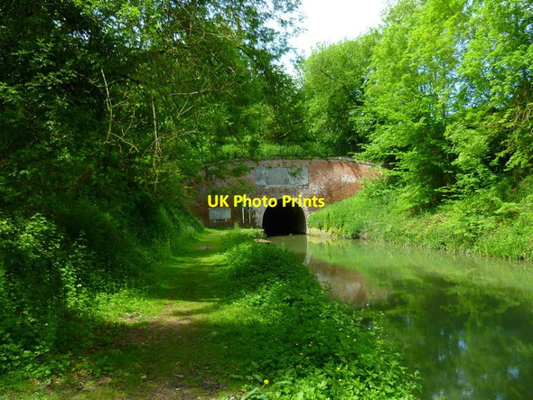 Photo 6"x4" The Orange Way in Wiltshire (361) Durley\/SU2364 c2013