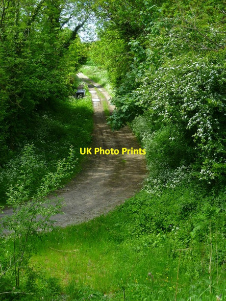 Photo 6"x4" The Orange Way in Wiltshire (366) Durley\/SU2364 c2013
