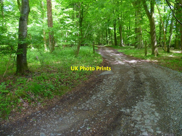 Photo 6"x4" The Orange Way in Wiltshire (373) Durley\/SU2364 c2013