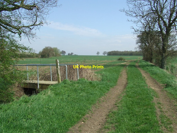 Photo 6"x4" Footpaths And Footbridge Hall Green\/TL7838 c2013