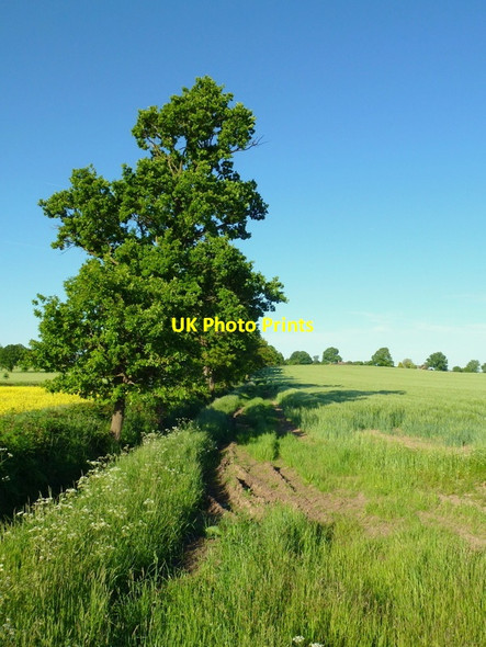 Photo 6"x4" Footpath to Brierley Farm Hethelpit Cross c2013