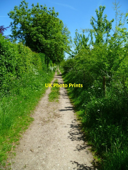 Photo 6"x4" The Orange Way in Wiltshire (410) Ramsbury c2013