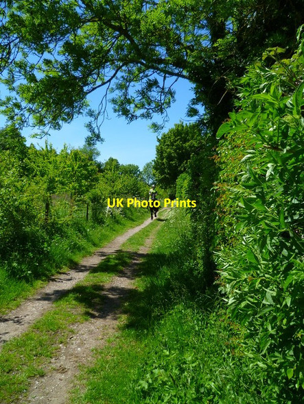Photo 6"x4" The Orange Way in Wiltshire (411) Ramsbury c2013