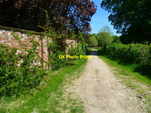 Photo 6"x4" The Orange Way in Wiltshire (412) Ramsbury c2013