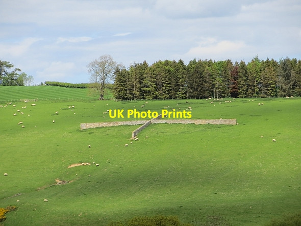 Photo 6"x4" Sheep shelter Holystone c2013