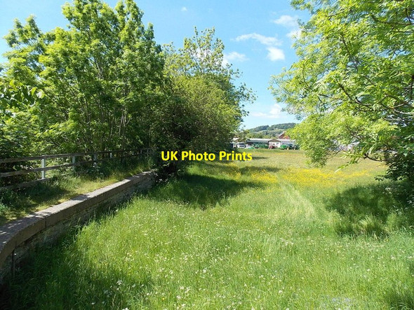 Photo 6"x4" River meadow, Llanelwedd Builth Wells\/Llanfair-Ym-Muallt c2013