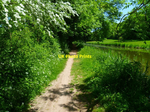 Photo 6"x4" The Orange Way after Wiltshire (31) Halfway\/SU4068 c2013