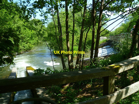 Photo 6"x4" The Orange Way after Wiltshire (41) Enborne c2013