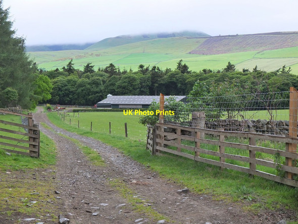 Photo 6"x4" Field track above Wester Dawyck Bellspool c2013