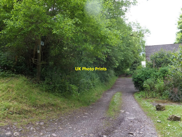 Photo 6"x4" The Ridge and Valley Walk west of Drayford (1) Drayford c2013