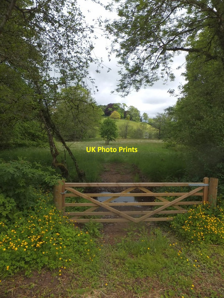 Photo 6"x4" Ford near Edgelake Bridge East Worlington c2013