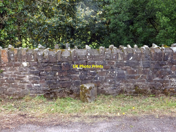 Photo 6"x4" Boundary stone between East and West Worlington East Worlington c2013