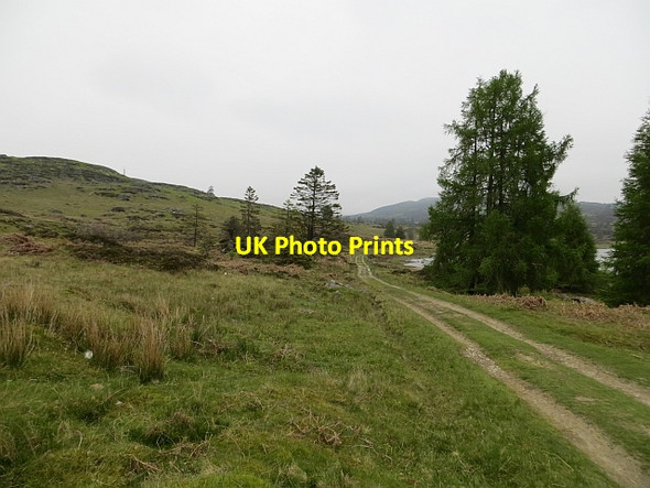 Photo 6"x4" Road beside Loch Ordie Guay c2013