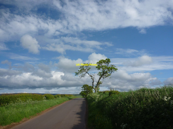 Photo 6"x4" East Lothian Landscape : On The Road From Blaikie Heugh To Papple Garvald\/NT5870 c2013