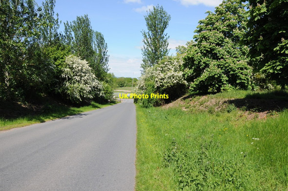 Photo 6"x4" The Avenue, Brockeridge Common Church End\/SO8936 c2013